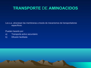 TRANSPORTETRANSPORTE DEDE AMINOACIDOSAMINOACIDOS
Los a.a. atraviesan las membranas a través de mecanismos de transportadores
específicos.
Pueden hacerlo por:
a) Transporte activo secundario
b) Difusión facilitada
 