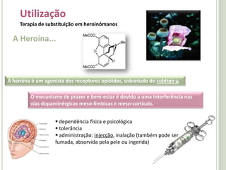Mecanismo de Acção Agonista dos receptores opióides µ10Adaptado de Adaptado de  Fine, Perry G.; Russell K. Portenoy (2004). "Chapter 2: The Endogenous Opioid System". A Clinical Guide to Opioid Analgesia. McGraw Hill. http://www.stoppain.org/pcd/_pdf/OpioidChapter2.pdf.