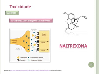 15Utilização na Dor Crónica A metadona ainda actua como antagonista do receptor NMDA, reduzindo o influxo de cálcio e excitabilidade neuronal.