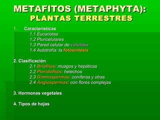 METAFITOS (METAPHYTA):METAFITOS (METAPHYTA):
PLANTAS TERRESTRESPLANTAS TERRESTRES
1.1. CaracterísticasCaracterísticas
1.1 Eucariotas1.1 Eucariotas
1.2 Pluricelulares1.2 Pluricelulares
1.3 Pared celular de1.3 Pared celular de celulosacelulosa
1.4 Autotrofía: la1.4 Autotrofía: la FotosíntesisFotosíntesis
2. Clasificación2. Clasificación
2.12.1 BriófitosBriófitos: musgos y hepáticas: musgos y hepáticas
2.22.2 PteridófitosPteridófitos: helechos: helechos
2.32.3 GimnospermasGimnospermas: coníferas y otras: coníferas y otras
2.42.4 AngiospermasAngiospermas: con flores complejas: con flores complejas
3. Hormonas vegetales3. Hormonas vegetales
4. Tipos de hojas4. Tipos de hojas
 