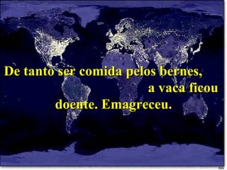 De tanto ser comida pelos bernes,  a vaca ficou doente. Emagreceu. 