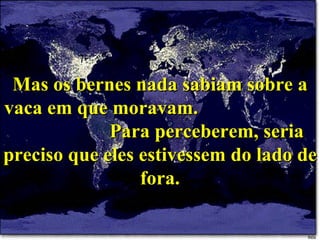 Mas os bernes nada sabiam sobre a vaca em que moravam.  Para perceberem, seria preciso que eles estivessem do lado de fora. 
