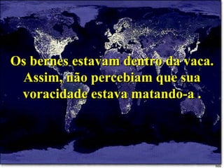 Os bernes estavam dentro da vaca. Assim, não percebiam que sua voracidade estava matando-a . 