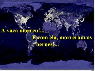 A vaca morreu!...  E com ela, morreram os bernes!... 