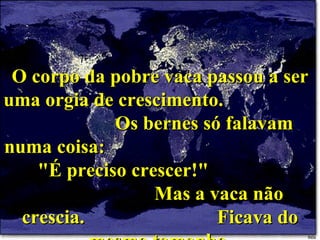 O corpo da pobre vaca passou a ser uma orgia de crescimento.  Os bernes só falavam numa coisa:  "É preciso crescer!"  Mas a vaca não crescia.  Ficava do mesmo tamanho. 