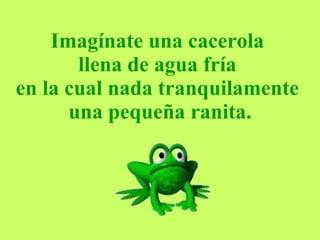 Imagínate una cacerola  llena de agua fría  en la cual nada tranquilamente  una pequeña ranita. 