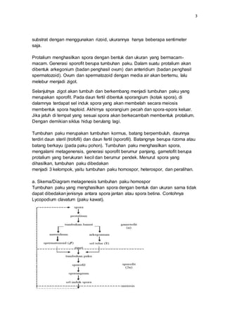 Metagenesis tumbuhan paku dan lumut dan salak | PDF