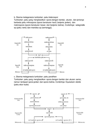 Metagenesis tumbuhan paku dan lumut dan salak | PDF