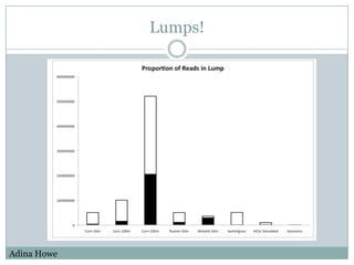 Lumps!Adina Howe