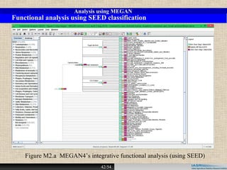Metagenomic analysis | PPT