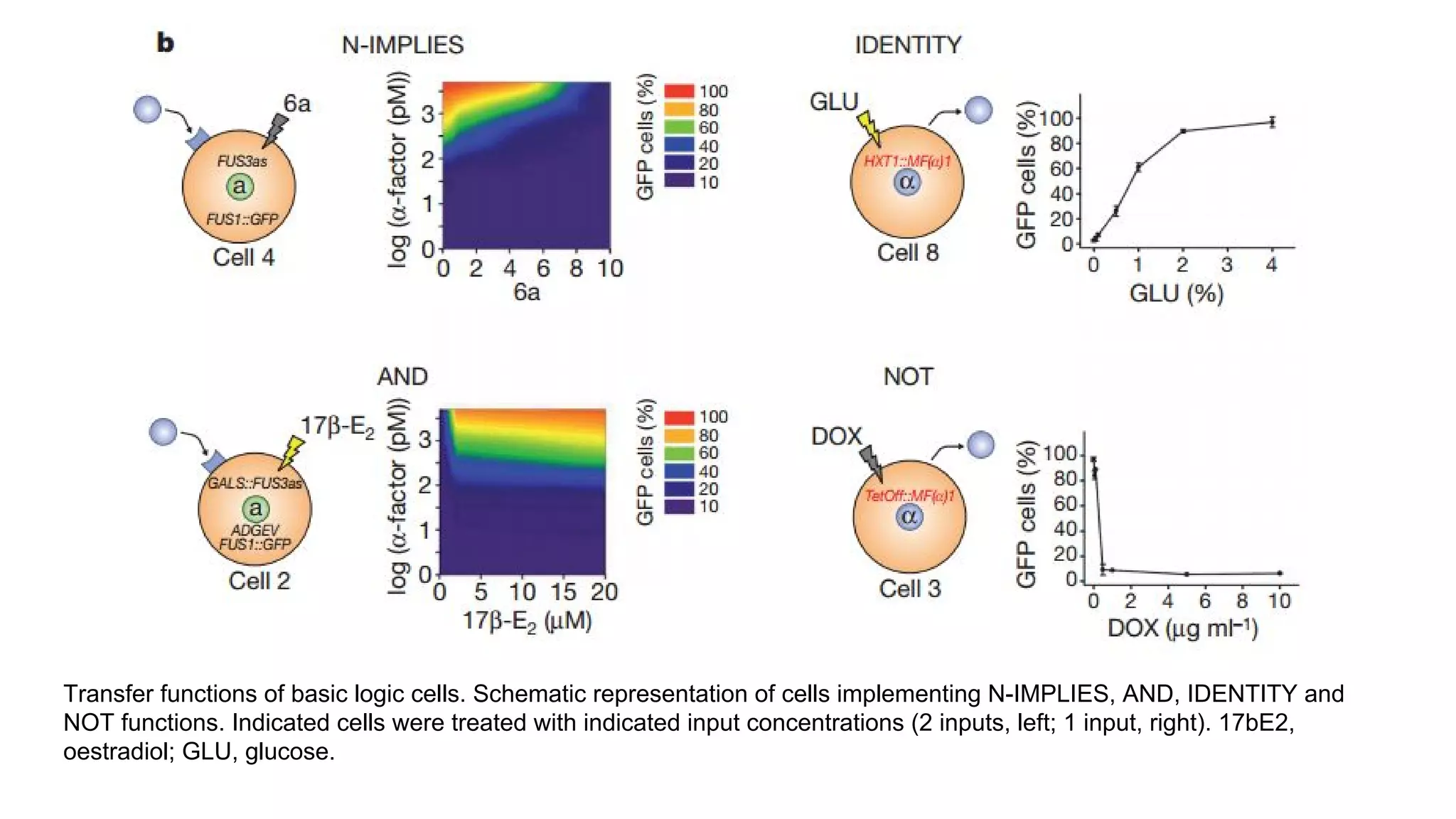 Synthetic microbial communities : Microbial consortia engineering | PDF