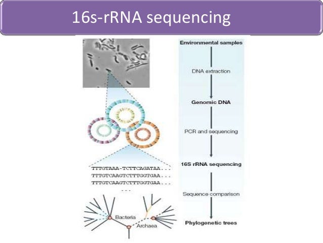 metagenomics