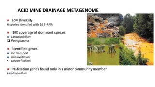 ACID MINE DRAINAGE METAGENOME 
 Low Diversity 
6 species identified with 16 S rRNA 
 10X coverage of dominant species 
 Leptospirillum 
 Ferroplasma 
 Identified genes 
 ion transport 
 iron-oxidation 
• carbon fixation 
 N2-fixation genes found only in a minor community member 
Leptospirillum 
 