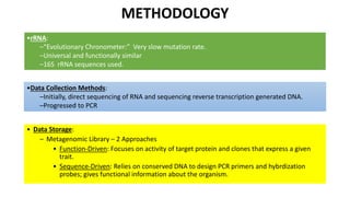 METHODOLOGY 
• Data Storage: 
– Metagenomic Library – 2 Approaches 
• Function-Driven: Focuses on activity of target protein and clones that express a given 
trait. 
• Sequence-Driven: Relies on conserved DNA to design PCR primers and hybrdization 
probes; gives functional information about the organism. 
•rRNA: 
–“Evolutionary Chronometer:” Very slow mutation rate. 
–Universal and functionally similar 
–16S rRNA sequences used. 
•Data Collection Methods: 
–Initially, direct sequencing of RNA and sequencing reverse transcription generated DNA. 
–Progressed to PCR 
 