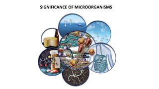 SIGNIFICANCE OF MICROORGANISMS 
 