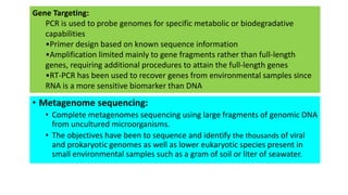 Gene Targeting: 
PCR is used to probe genomes for specific metabolic or biodegradative 
capabilities 
•Primer design based on known sequence information 
•Amplification limited mainly to gene fragments rather than full-length 
genes, requiring additional procedures to attain the full-length genes 
•RT-PCR has been used to recover genes from environmental samples since 
RNA is a more sensitive biomarker than DNA 
• Metagenome sequencing: 
• Complete metagenomes sequencing using large fragments of genomic DNA 
from uncultured microorganisms. 
• The objectives have been to sequence and identify the thousands of viral 
and prokaryotic genomes as well as lower eukaryotic species present in 
small environmental samples such as a gram of soil or liter of seawater. 
 
