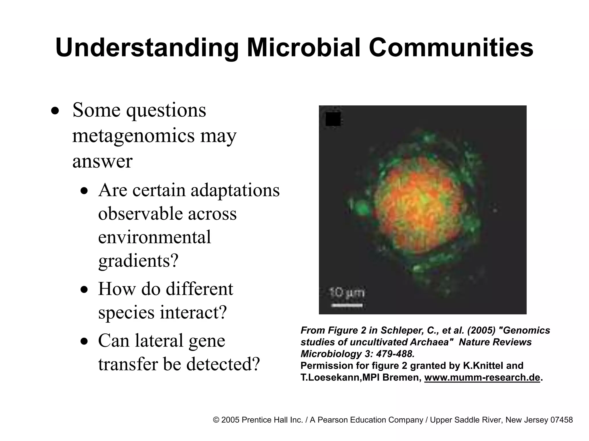 © 2005 Prentice Hall Inc. / A Pearson Education Company / Upper Saddle River, New Jersey 07458
Understanding Microbial Communities
 Some questions
metagenomics may
answer
 Are certain adaptations
observable across
environmental
gradients?
 How do different
species interact?
 Can lateral gene
transfer be detected?
From Figure 2 in Schleper, C., et al. (2005) "Genomics
studies of uncultivated Archaea" Nature Reviews
Microbiology 3: 479-488.
Permission for figure 2 granted by K.Knittel and
T.Loesekann,MPI Bremen, www.mumm-research.de.
 