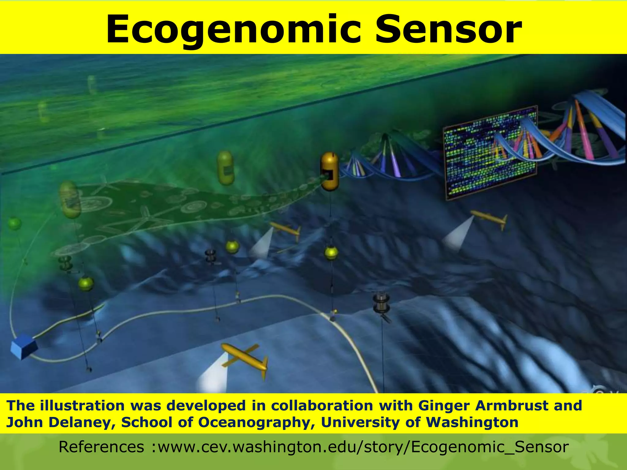 References :www.cev.washington.edu/story/Ecogenomic_Sensor
The illustration was developed in collaboration with Ginger Armbrust and
John Delaney, School of Oceanography, University of Washington
Ecogenomic Sensor
 