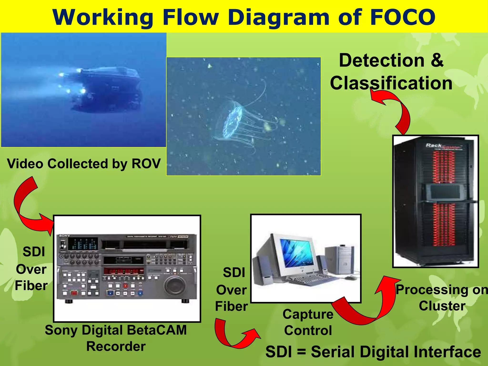 Video Collected by ROV
Sony Digital BetaCAM
Recorder
SDI
Over
Fiber
SDI
Over
Fiber
Capture
Control
Processing on
Cluster
Detection &
Classification
Working Flow Diagram of FOCO
SDI = Serial Digital Interface
 