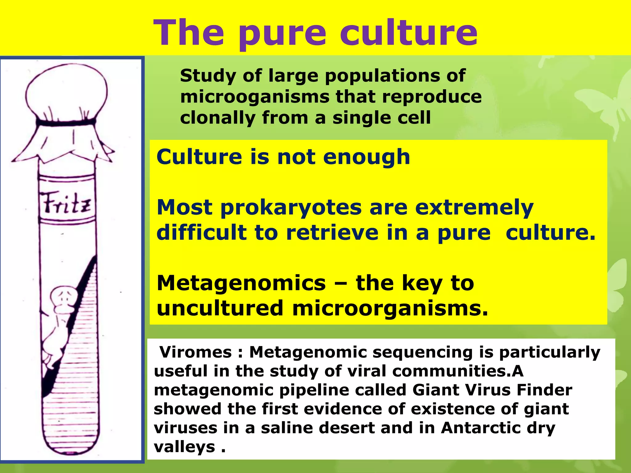 The pure culture
Culture is not enough
Most prokaryotes are extremely
difficult to retrieve in a pure culture.
Metagenomics – the key to
uncultured microorganisms.
Study of large populations of
microoganisms that reproduce
clonally from a single cell
Viromes : Metagenomic sequencing is particularly
useful in the study of viral communities.A
metagenomic pipeline called Giant Virus Finder
showed the first evidence of existence of giant
viruses in a saline desert and in Antarctic dry
valleys .
 