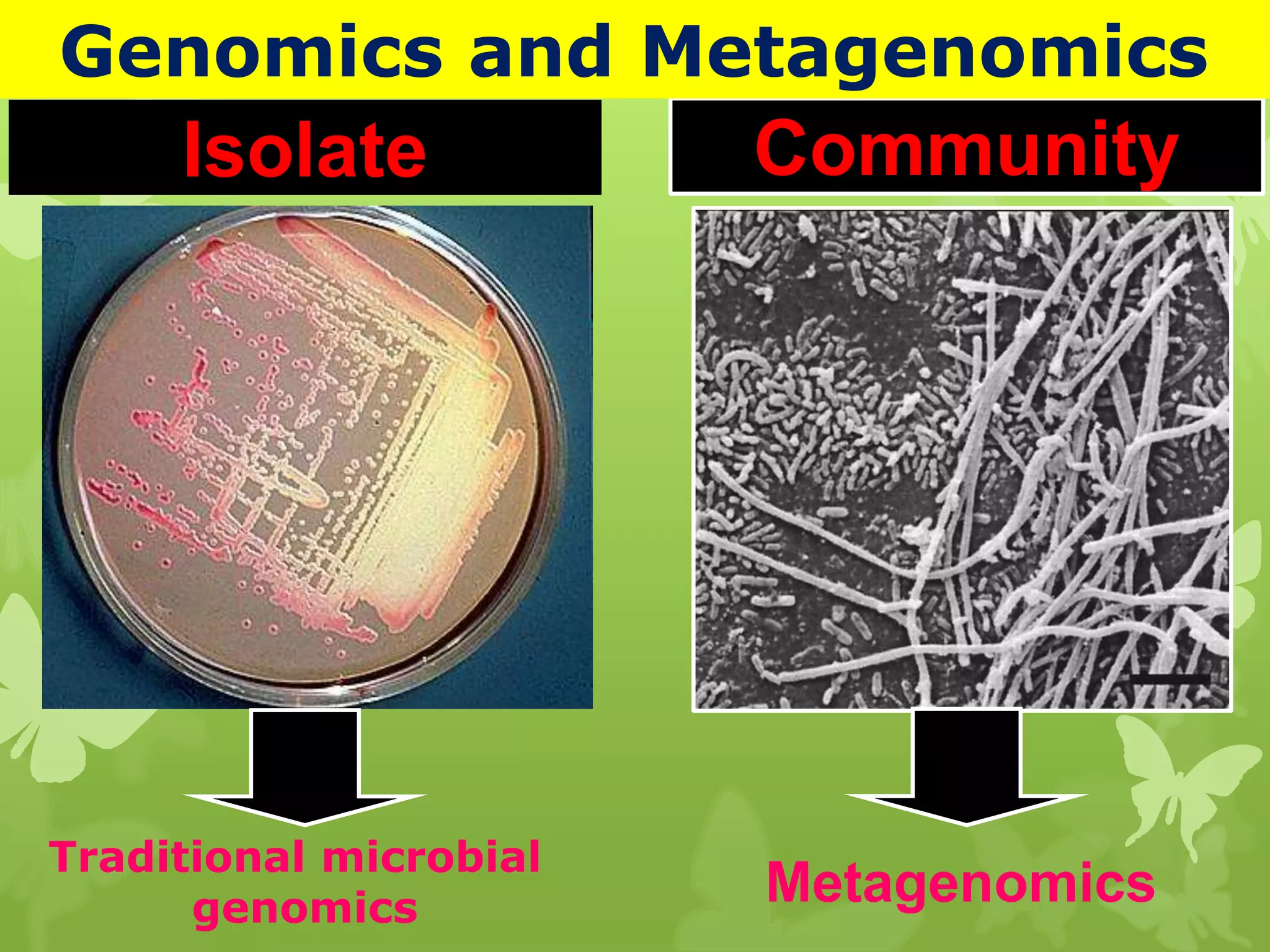 Isolate
Metagenomics
Community
Genomics and Metagenomics
Traditional microbial
genomics
 