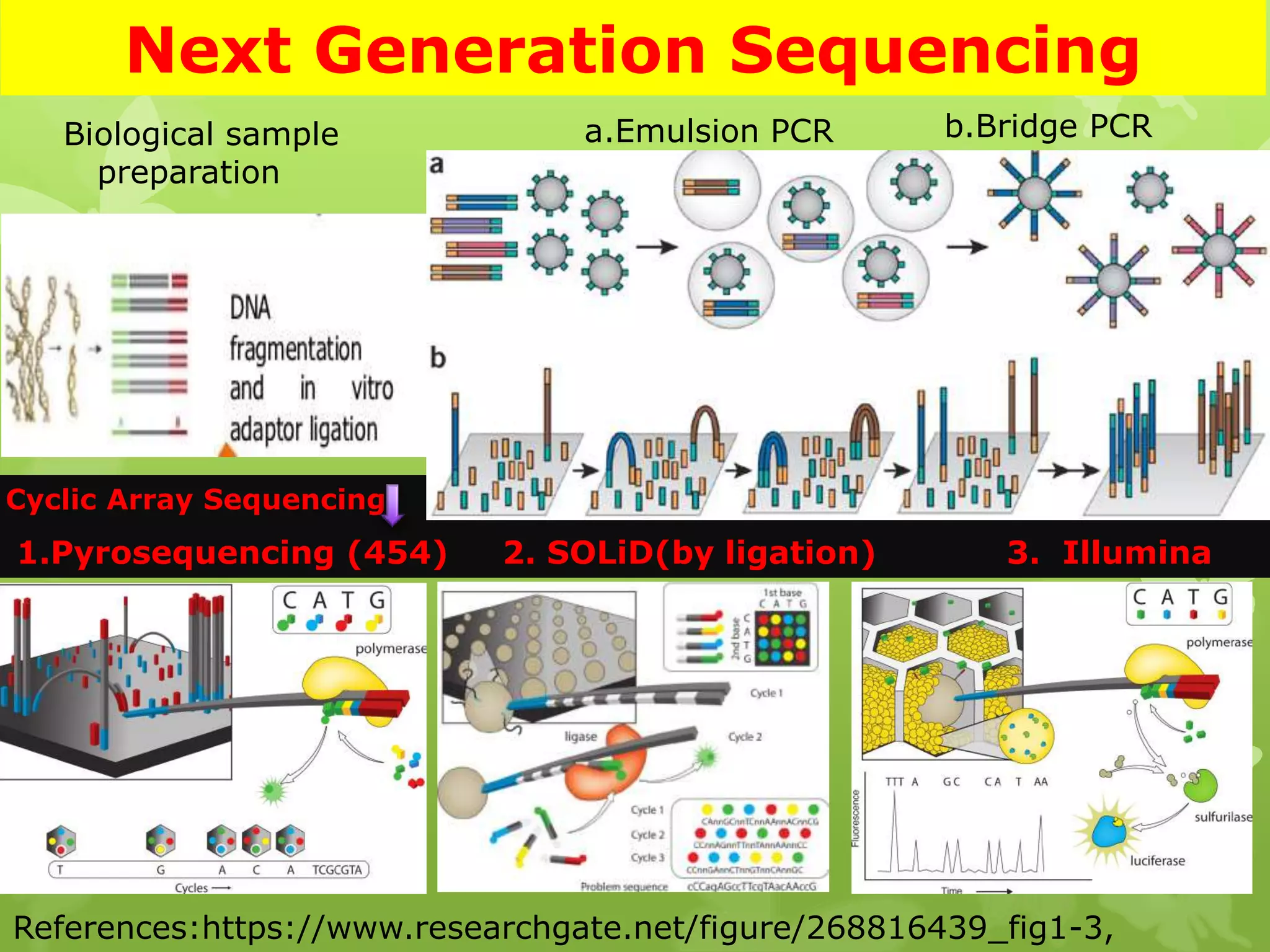 Next Generation Sequencing
Biological sample
preparation
a.Emulsion PCR b.Bridge PCR
Cyclic Array Sequencing
1.Pyrosequencing (454) 2. SOLiD(by ligation) 3. Illumina
References:https://www.researchgate.net/figure/268816439_fig1-3,
 
