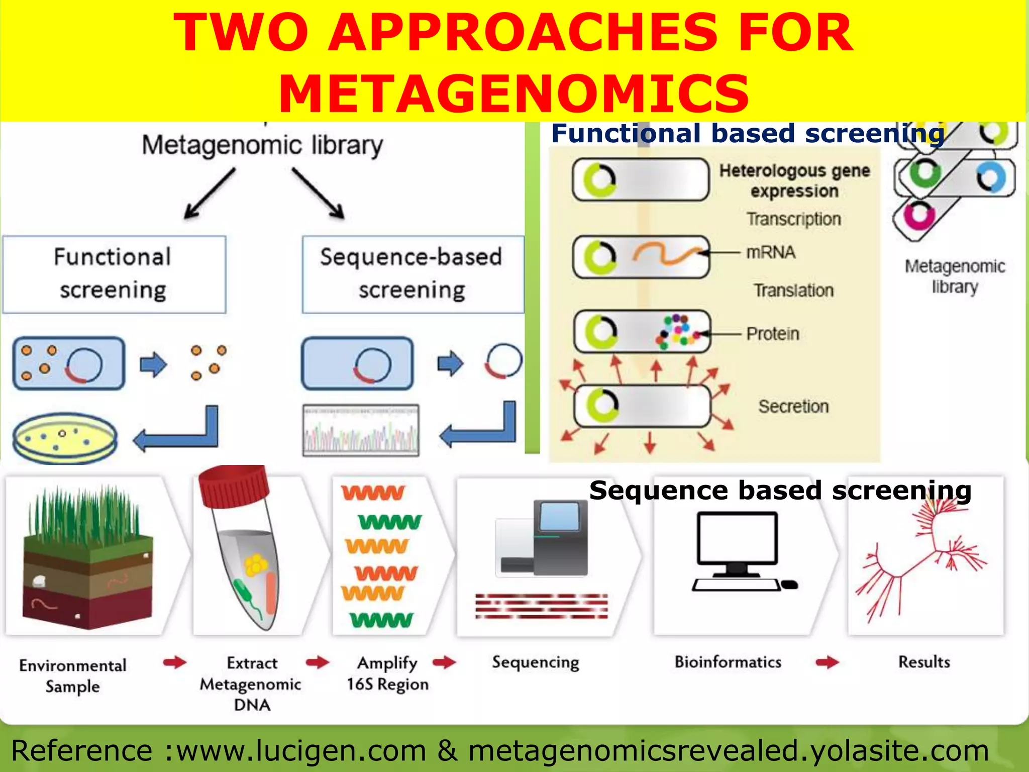 TWO APPROACHES FOR
METAGENOMICS
Functional based screening
Sequence based screening
Reference :www.lucigen.com & metagenomicsrevealed.yolasite.com
 