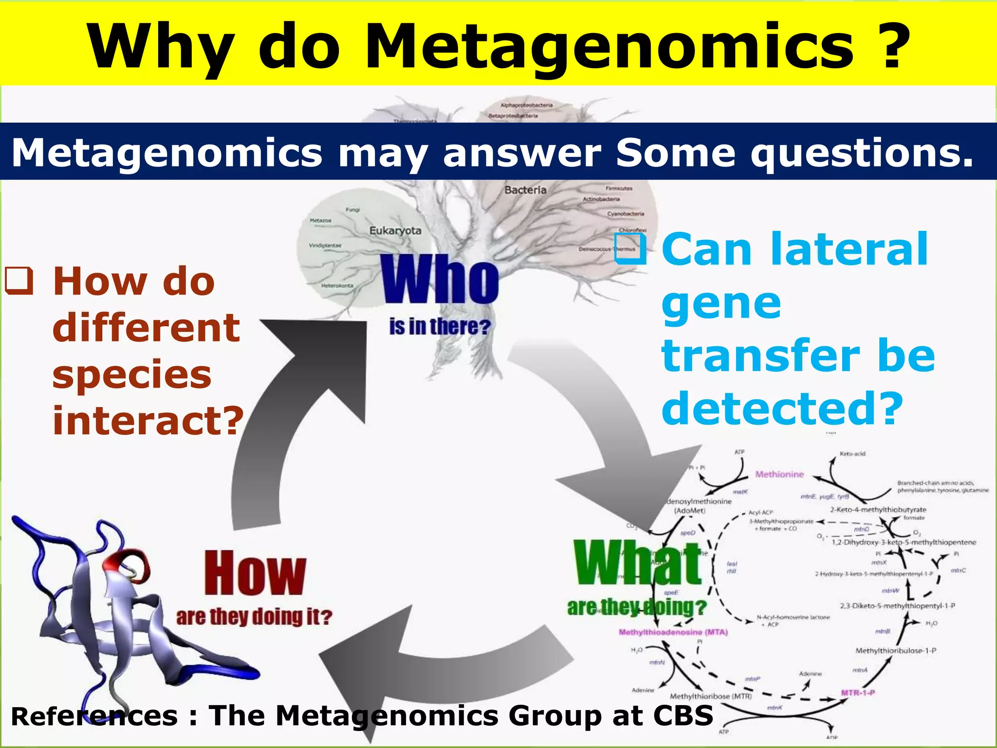 Why do Metagenomics ?
Metagenomics may answer Some questions.
 How do
different
species
interact?
 Can lateral
gene
transfer be
detected?
References : The Metagenomics Group at CBS
 