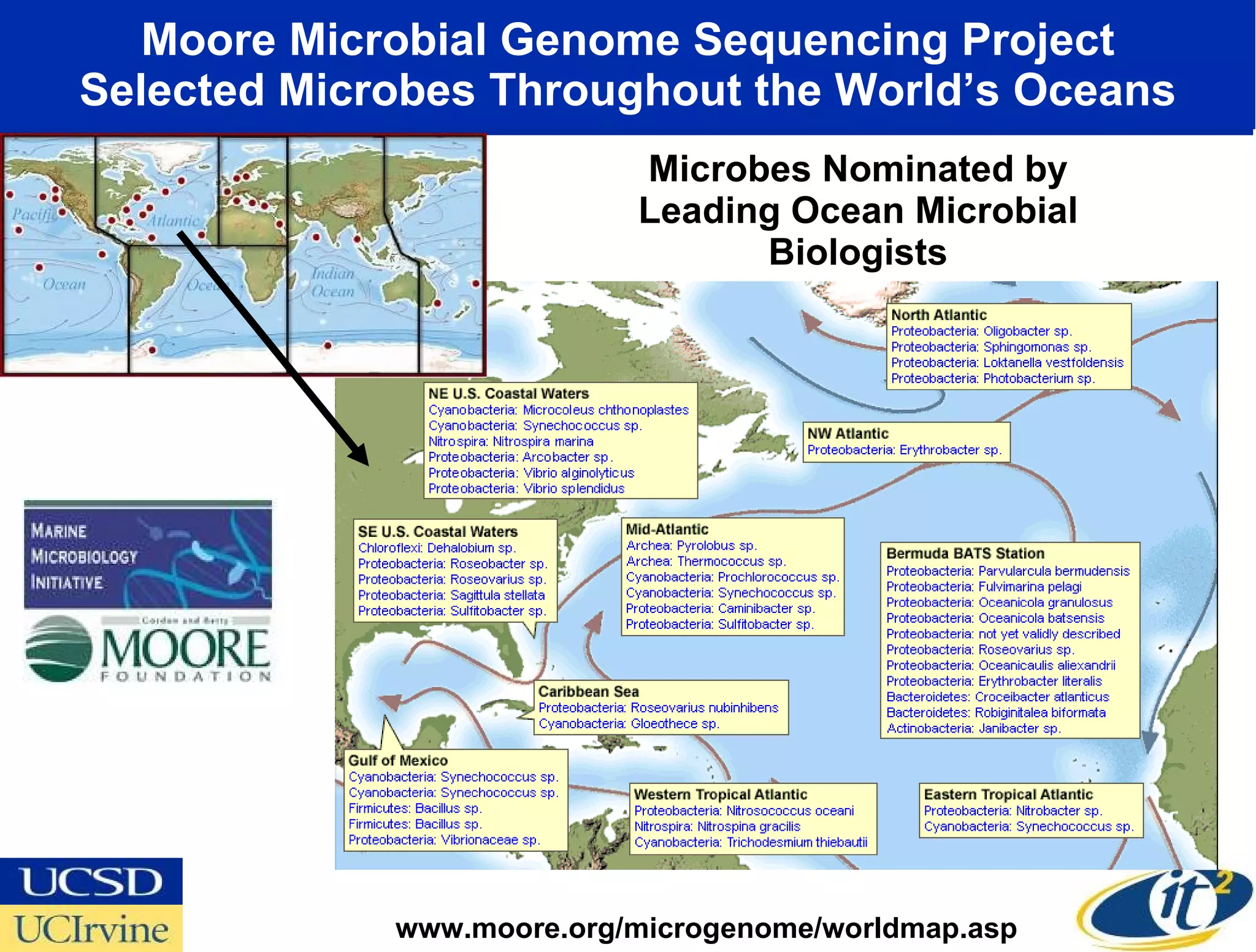 Moore Microbial Genome Sequencing Project Selected Microbes Throughout the World’s Oceans www.moore.org/microgenome/worldmap.asp Microbes Nominated by Leading Ocean Microbial Biologists 
