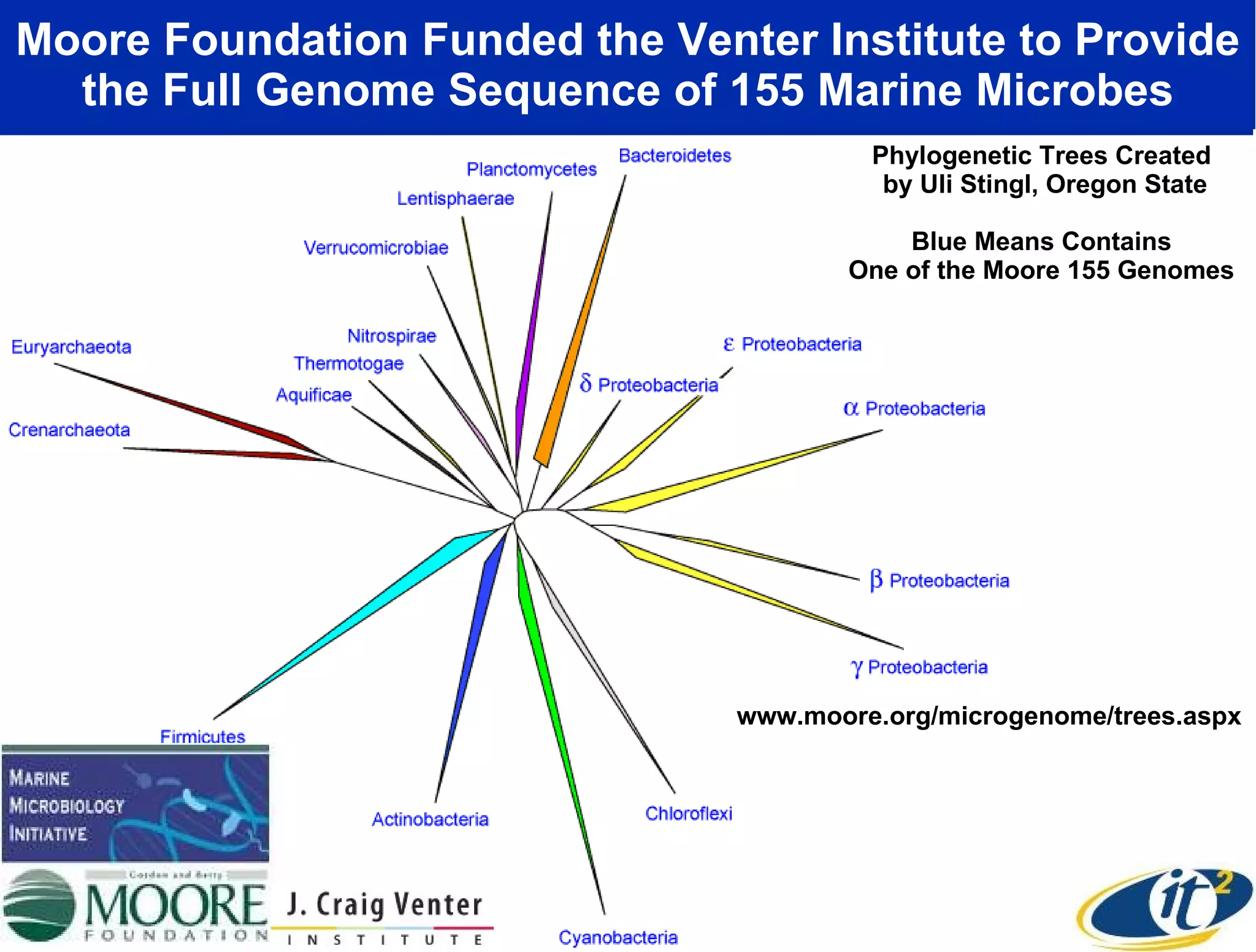 Moore Foundation Funded the Venter Institute to Provide the Full Genome Sequence of 155 Marine Microbes Phylogenetic Trees Created  by Uli Stingl, Oregon State Blue Means Contains  One of the Moore 155 Genomes  www.moore.org/microgenome/trees.aspx 