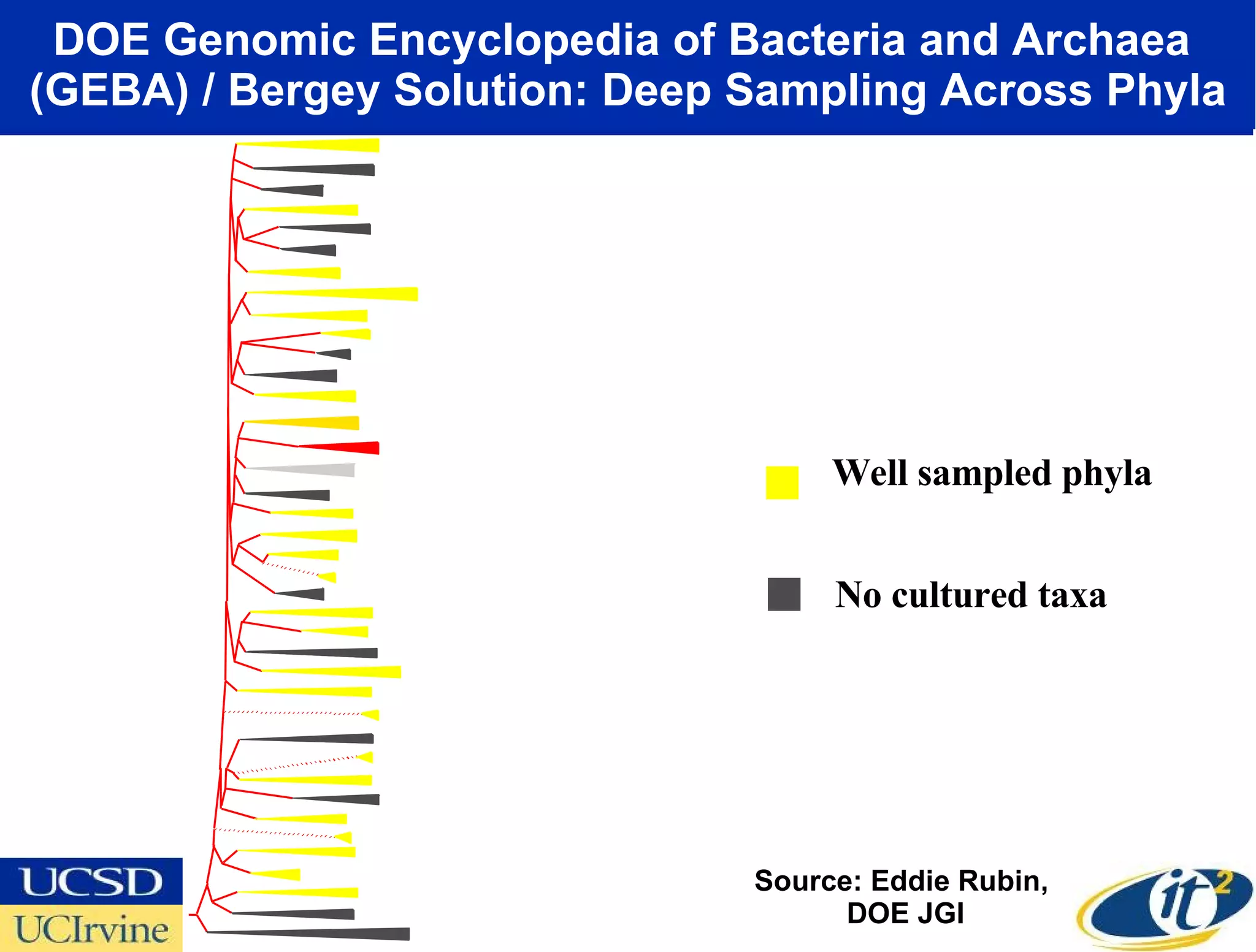 DOE Genomic Encyclopedia of Bacteria and Archaea  (GEBA) / Bergey Solution: Deep Sampling Across Phyla Source: Eddie Rubin,  DOE JGI Acidobacteria Bacteroides Fibrobacteres  Gemmimonas Verrucomicrobia  Planctomycetes Chloroflexi Proteobacteria Chlorobi  Firmicutes Fusobacteria  Actinobacteria  Cyanobacteria  Chlamydia  Spriochaetes  Deinococcus-Thermus  Aquificae Thermotogae TM6 OS-K Termite Group OP8 Marine GroupA WS3 OP9 NKB19 OP3 OP10 TM7 OP1 OP11 Nitrospira Synergistes Deferribacteres Thermudesulfobacteria Chrysiogenetes Thermomicrobia Dictyoglomus Coprothmermobacter Well sampled phyla No cultured taxa 