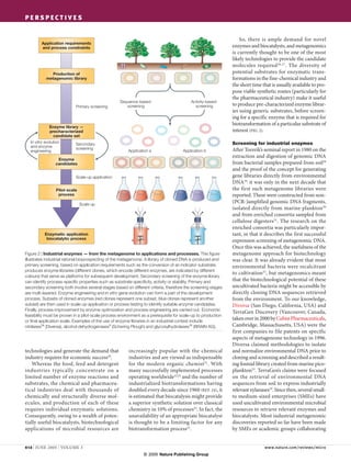 Metagenomics and Industrial Application
