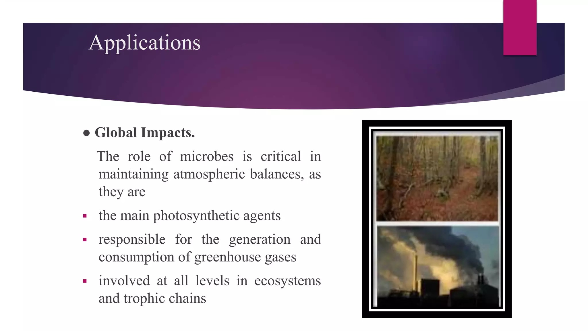 Applications
● Global Impacts.
The role of microbes is critical in
maintaining atmospheric balances, as
they are
 the main photosynthetic agents
 responsible for the generation and
consumption of greenhouse gases
 involved at all levels in ecosystems
and trophic chains
 