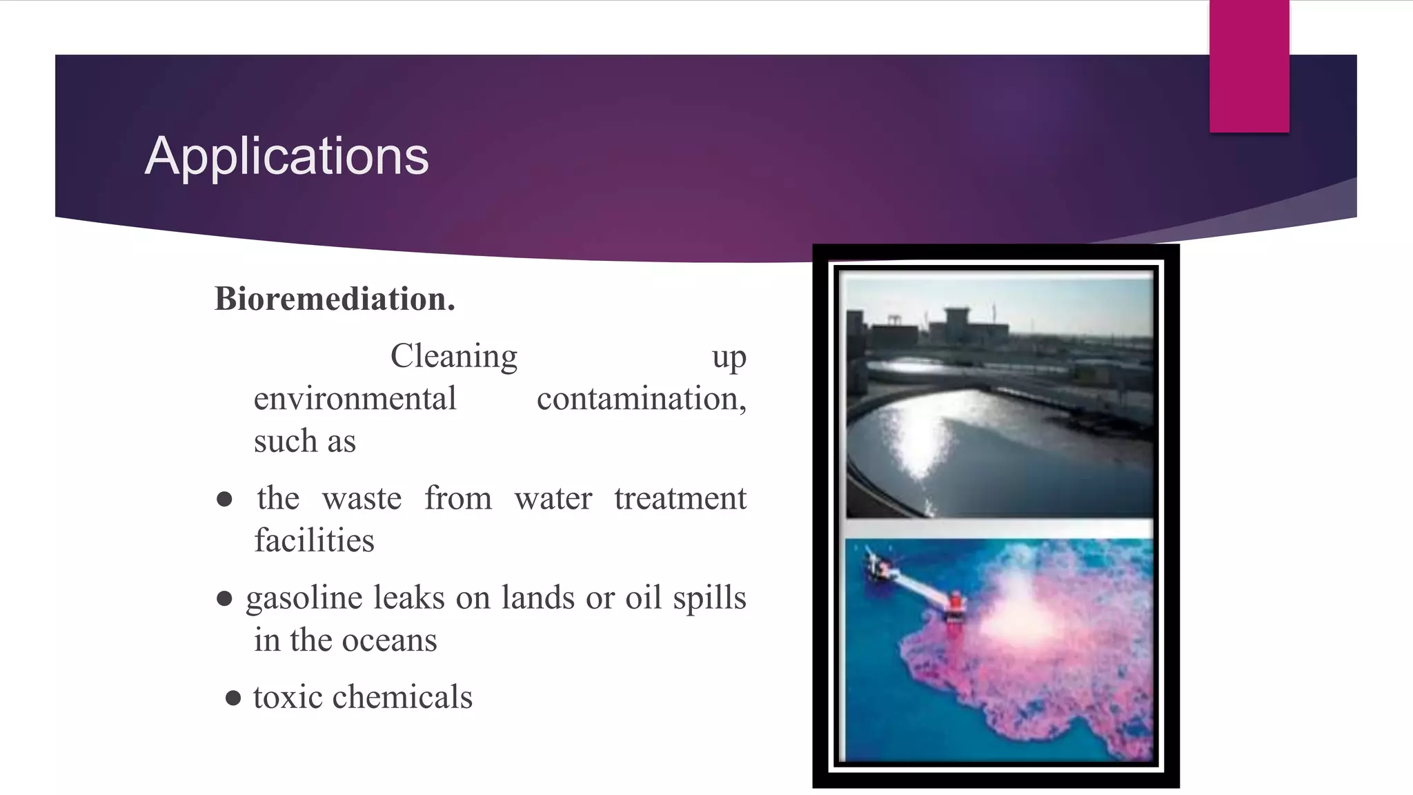 Applications
Bioremediation.
Cleaning up
environmental contamination,
such as
● the waste from water treatment
facilities
● gasoline leaks on lands or oil spills
in the oceans
● toxic chemicals
 