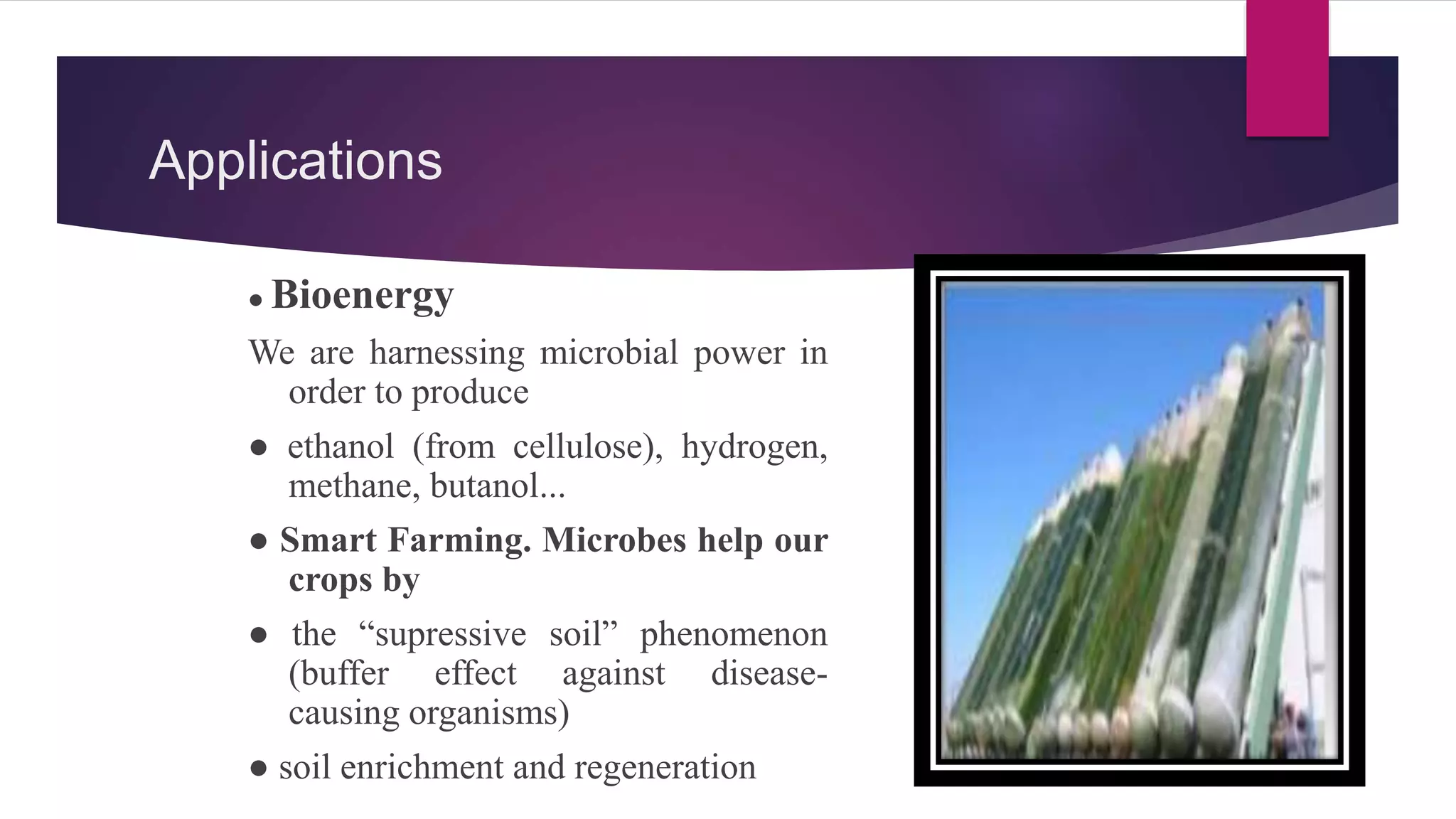 Applications
● Bioenergy
We are harnessing microbial power in
order to produce
● ethanol (from cellulose), hydrogen,
methane, butanol...
● Smart Farming. Microbes help our
crops by
● the “supressive soil” phenomenon
(buffer effect against disease-
causing organisms)
● soil enrichment and regeneration
 