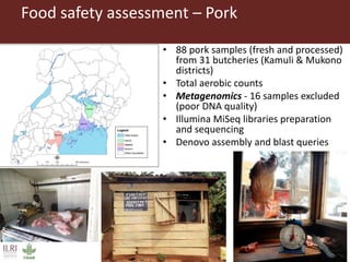 Metagenomics in food safety: What's the added value? Case studies from the livestock sector in Tanzania and Uganda