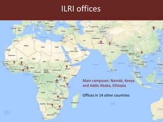 Metagenomics in food safety: What's the added value? Case studies from the livestock sector in Tanzania and Uganda