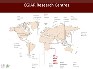 Metagenomics in food safety: What's the added value? Case studies from the livestock sector in Tanzania and Uganda