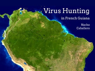 French Guiana
Virus Hunting
in
Nacho
Caballero
 