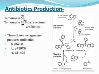 Antibiotics Production-
Turbomycin A
Turbomycin B Broad spectrum
antibiotics .
 Three clones metagenome
produces antibiotics.
 a. p57G4
 b. pP89C8
 c. p214D2
 