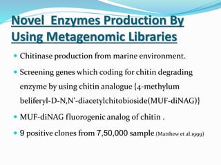 Novel Enzymes Production By
Using Metagenomic Libraries
 Chitinase production from marine environment.
 Screening genes which coding for chitin degrading
enzyme by using chitin analogue {4-methylum
beliferyl-D-N,N’-diacetylchitobioside(MUF-diNAG)}
 MUF-diNAG fluorogenic analog of chitin .
 9 positive clones from 7,50,000 sample.(Matthew et al.1999)
 