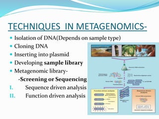 TECHNIQUES IN METAGENOMICS-
 Isolation of DNA(Depends on sample type)
 Cloning DNA
 Inserting into plasmid
 Developing sample library
 Metagenomic library-
-Screening or Sequencing
I. Sequence driven analysis
II. Function driven analysis
 