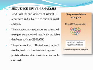 I. SEQUENCE DRIVEN ANALYSIS
1. DNA from the environment of interest is
sequenced and subjected to computational
analysis.
2. The metagenomic sequences are compared
to sequences deposited in publicly available
databases such as GENBANK.
3. The genes are then collected into groups of
similar predicted functions and types of
proteins that conduct those function can be
assessed.
 