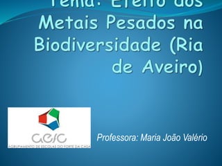 Professora: Maria João Valério
 