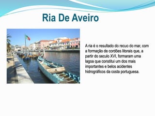 Ria De Aveiro
A ria é o resultado do recuo do mar, com
a formação de cordões litorais que, a
partir do seculo XVI, formaram uma
lagoa que constitui um dos mais
importantes e belos acidentes
hidrográficos da costa portuguesa.
 