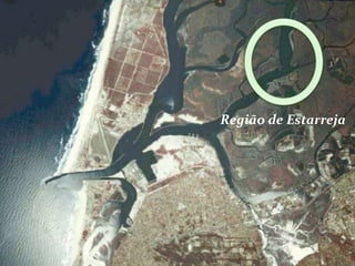 Região de Estarreja
 