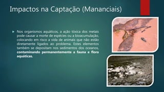Impactos na Captação (Mananciais)
 Nos organismos aquáticos, a ação tóxica dos metais
pode causar a morte de espécies ou a bioacumulação,
colocando em risco a vida de animais que não estão
diretamente ligados ao problema. Estes elementos
também se depositam nos sedimentos dos oceanos,
contaminando permanentemente a fauna e flora
aquáticas.
 