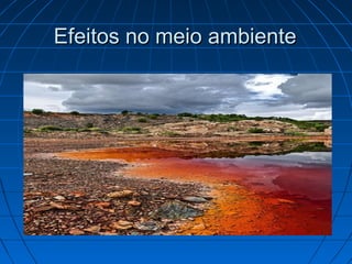 Efeitos no meio ambiente
 