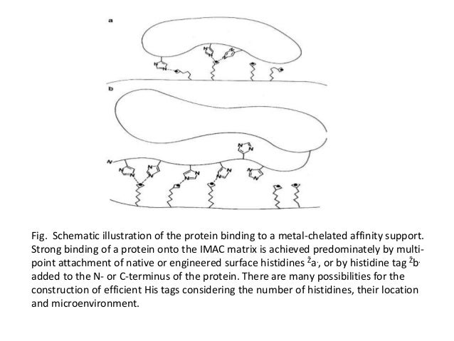 read boun mthd elem cont node 2005