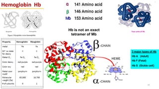 Hemoglobin Hb
Four units of Hb
3 major types of Hb
Hb A (Adult)
Hb F (Fetal)
Hb S (Sickle cell)
Hb is not an exact
tetramer of Mb
64
 